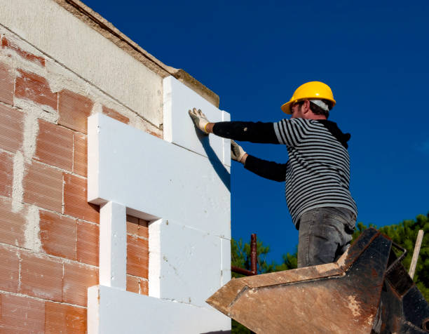 Best Energy-efficient Insulation  in Cresco, IA