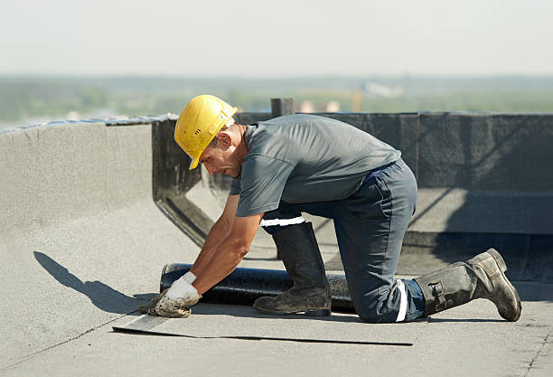 Best Cellulose Insulation  in Cresco, IA