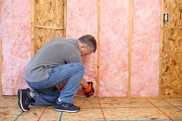 Best Insulation Contractors for Homes  in Cresco, IA