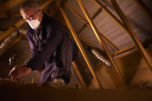 Best Insulation Repair Services  in Cresco, IA